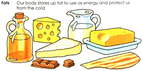 Pin on Fats (meat/plant) & Disease