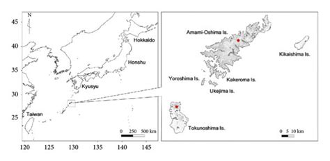 Map showing the location of the Amami Oshima and Tokunoshima Islands.... | Download Scientific ...