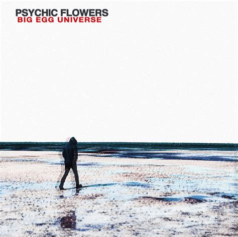 Jangle Pop | Psychic Flowers