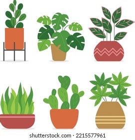 Interior Plants Set Pots Cactus Monstera Stock Vector (Royalty Free ...