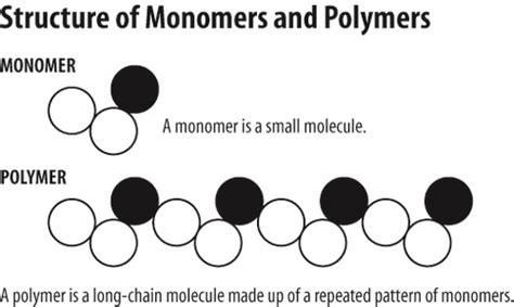 ORGANIC MOLECULES & MONOMERS Flashcards | Quizlet