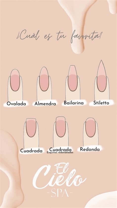 Tipos de uñas en 2023 | Tipos de uñas, Formas de uñas, Spa de uñas