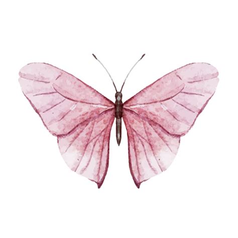 Pink Butterfly Temporary Tattoo | EasyTatt™