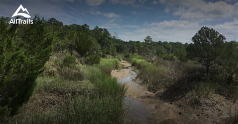 Best Hikes and Trails in Skidaway Island State Park | AllTrails