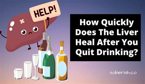 How Long Liver Recover Alcohol?