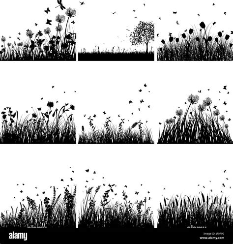 Grass silhouette set Stock Vector Image & Art - Alamy