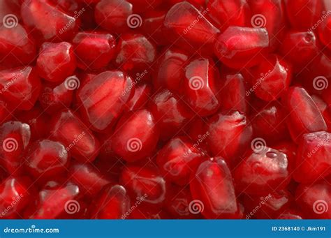 Pomegranate Seeds. stock photo. Image of diet, fruit, fresh - 2368140