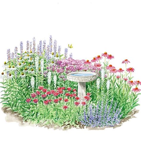 Hummingbird-Butterfly Garden for Sun | Butterfly garden layout ...