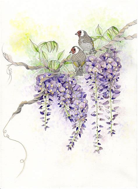 Original painting of wisteria & goldfinch. Original watercolor and ink drawing. Oriental art ...