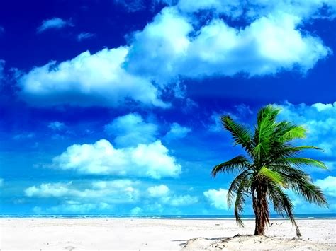 Beach Wallpaper | Wallpaper Cartoon