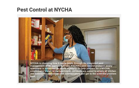 New Online Pest Control Resource for Residents - The NYCHA Journal