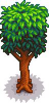 Mahogany Tree - Stardew Valley Wiki