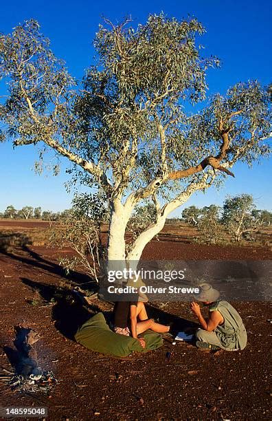 Gibson Desert Plants Photos and Premium High Res Pictures - Getty Images