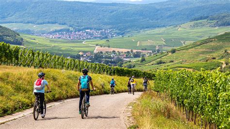 The Alsace Wine Route is celebrating during the The Fascinating Vineyards & Discovery Weekend ...