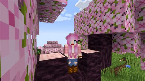 Minecraft Kirschblütenbiom, Bäume und wie man Snapshot 23w07a spielt - Santas-Villageil