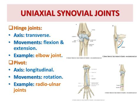 Name Two Types of Uniaxial Biaxial and Multiaxial Joints