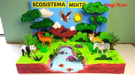 Como hacer MAQUETA de ECOSISTEMA MIXTO paso a paso / Proyecto Escolar ...