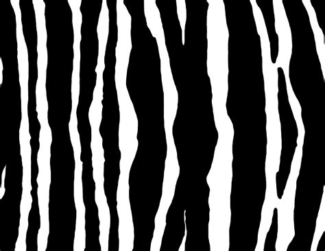Zebra Free Stock Photo - Public Domain Pictures