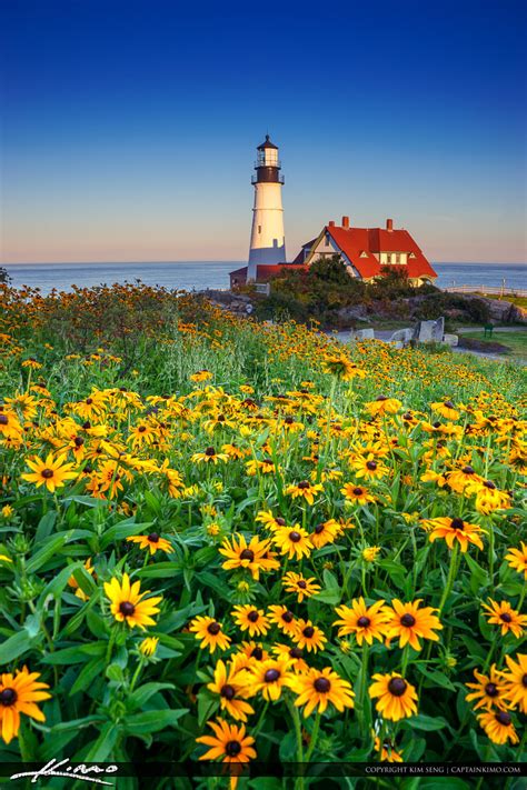 Portland Maine Lighthouse with Flower