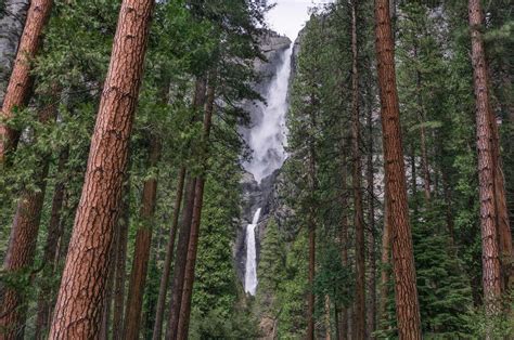 Hiking Trails in Yosemite Valley | yosemitethisyear.com