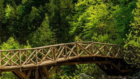 Free photo: Wooden bridge - Bridge, Landscape, Natural - Free Download - Jooinn