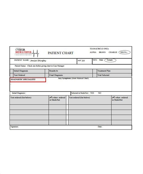 Medical Chart - 17+ Examples, Format, How to Create, Pdf