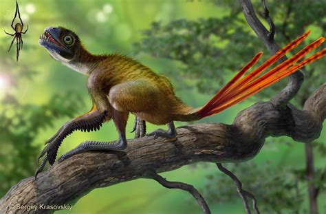 Epidexipteryx hui : r/Naturewasmetal