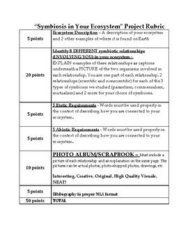 Results for ecosystem project rubric | TPT