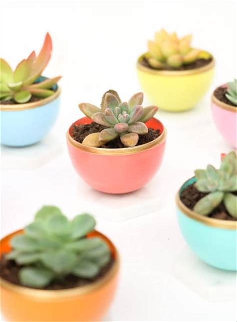 DIY Succulent Projects - 60 Ways to Display Succulents in Your Home ⋆ ...