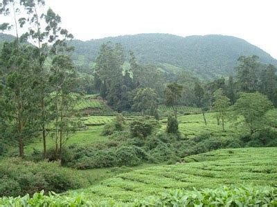 Admirable Tourist Attractions In Theni | Tourist Places