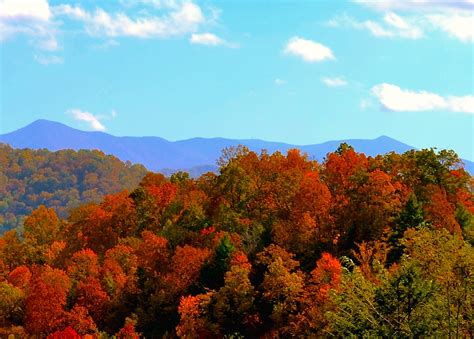 Fall Colors North Carolina Mountains Wallpaper | Free