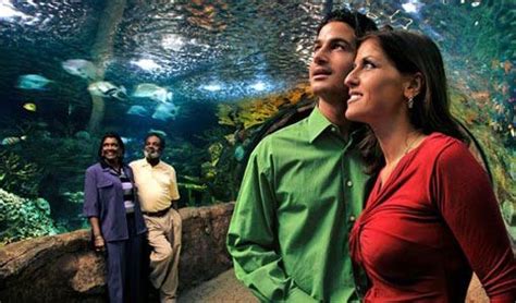 Club Regent Casino Aquarium, Winnipeg