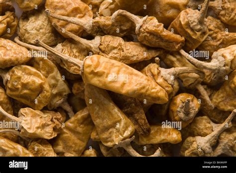 Dried green chili pepper Stock Photo - Alamy