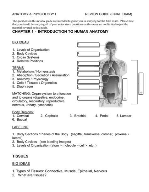 Final Exam Review Guide