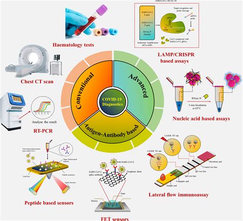 Frontiers | A Recent Update on Advanced Molecular Diagnostic Techniques for COVID-19 Pandemic ...