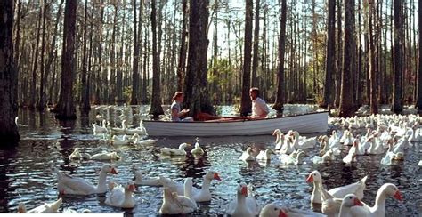 21+ The Notebook Boat Scene - EljanEibhinn