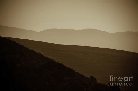 Coastal Range, golden California Photograph by Michael Ziegler - Pixels