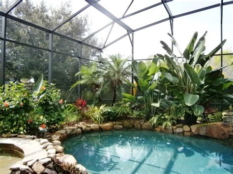 Lake Mary Heathrow Fl Tropical Pool Landscape Design - Tropical - Landscape - Orlando - by ...