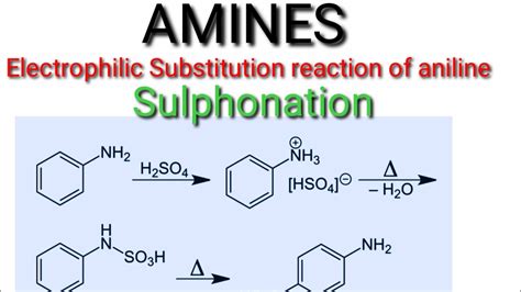 Sulphonation reaction of aniline - YouTube