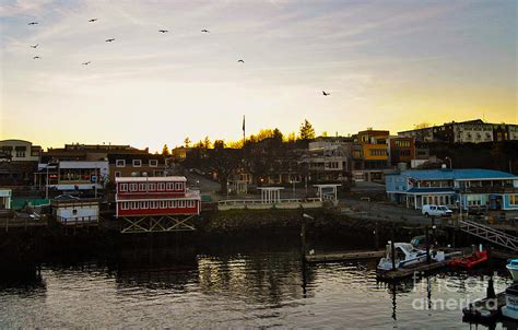 Friday Harbor Photograph by Todd Spencer - Pixels