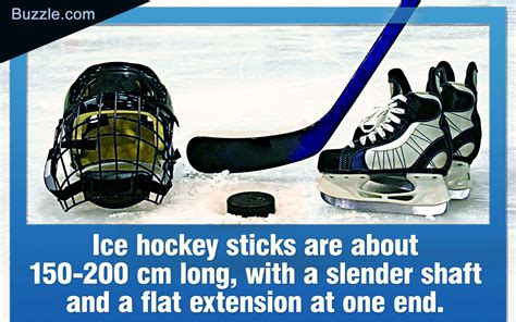 The Basic Equipment Used in Ice Hockey Explained in a Lucid Way ...