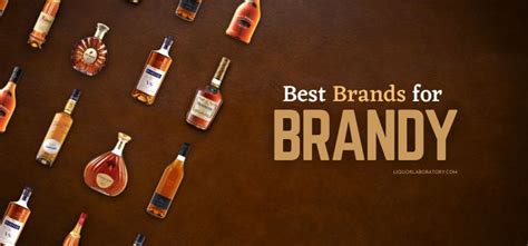 17 Best Brandy Brands Ranked & Reviewed (2023 Updated)