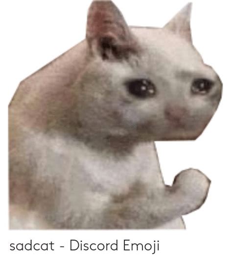 Sadcat - Discord Emoji | Emoji Meme on ME.ME | Emoji meme, Cat emoji, Emoji