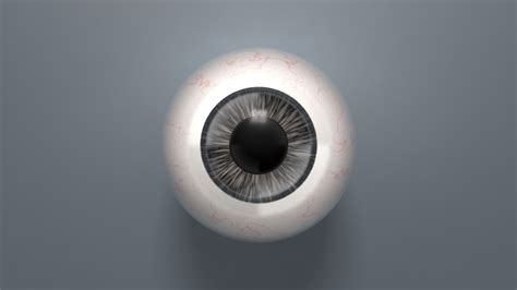 3D Eyeball Eye Ball - TurboSquid 1677229