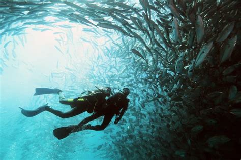 Sabah Diving Guide: Beyond Sipadan