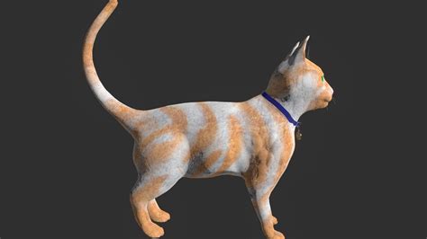 Cat Low Poly Model 3D Model - TurboSquid 2052887