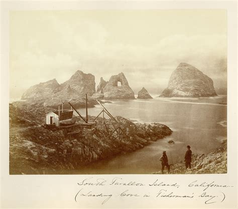 A History of San Francisco's Wild, Raw Farallon Islands | KQED