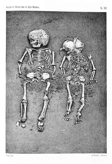 Cro-magnon Skeletons Photograph by Natural History Museum, London ...