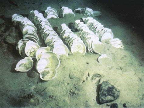 Plates that were found still intact even after falling 12,500 feet ...