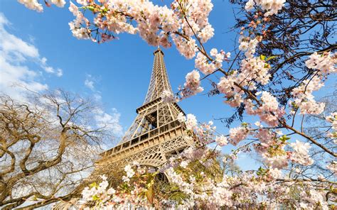 Eiffel Tower in Spring Hecho por el hombre Torre Eiffel Monumentos Francia Man Made Primavera ...